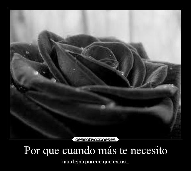 carteles rosa desmotivaciones