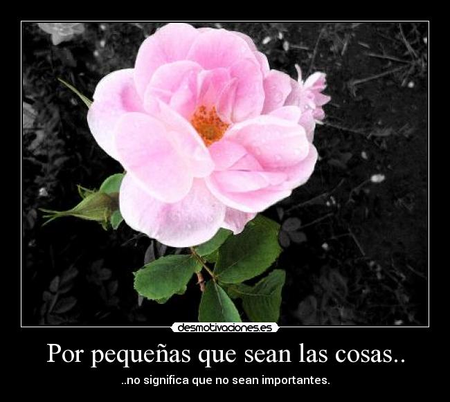 carteles pequenosdetalles vida amor rosas desmotivaciones