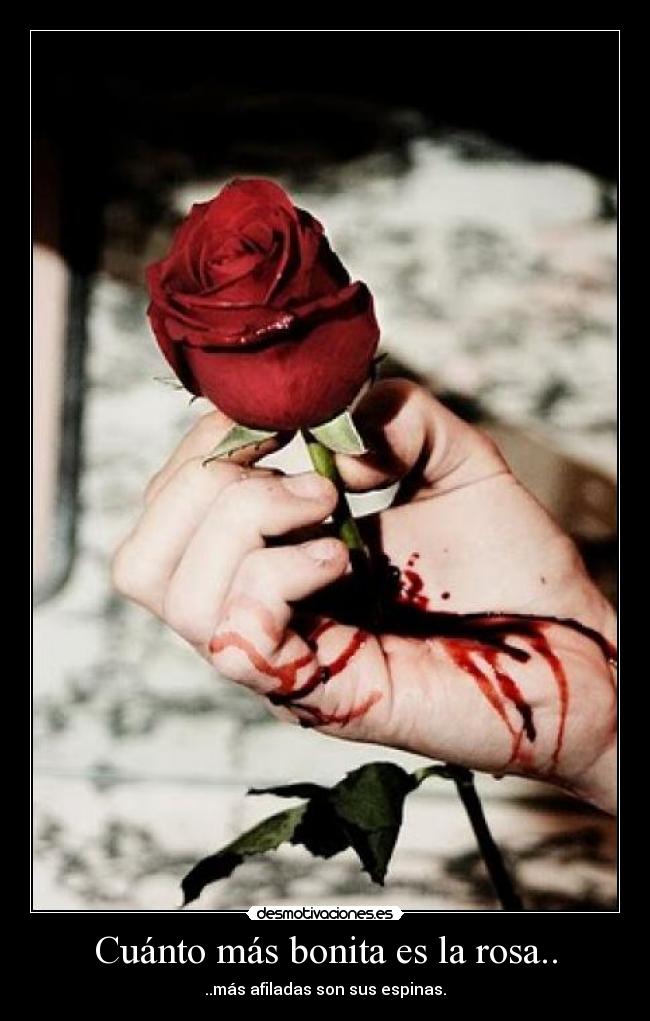 Cuánto más bonita es la rosa.. - 