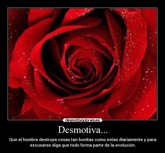 Desmotiva... - Que el hombre destruya cosas tan bonitas como estas diariamente y para
excusarse diga que todo forma parte de la evolución.