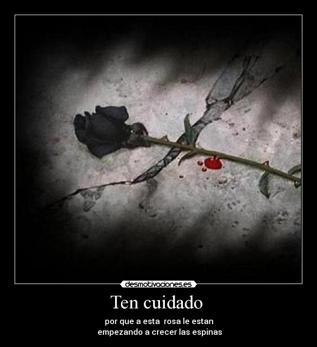 Ten cuidado  - por que a esta  rosa le estan
 empezando a crecer las espinas