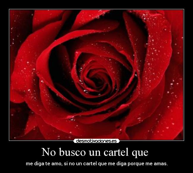 No busco un cartel que -