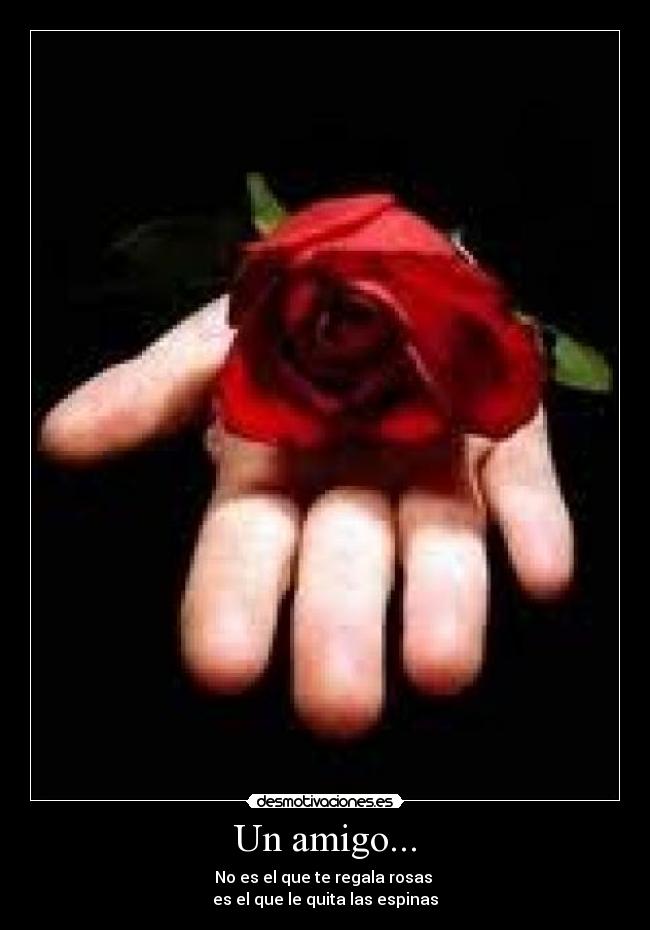 Un amigo... - No es el que te regala rosas
es el que le quita las espinas