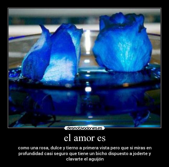 el amor es - 