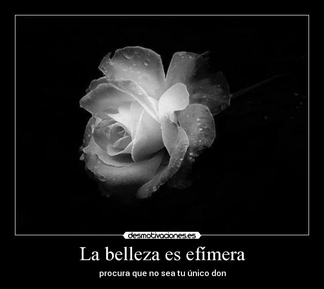 La belleza es efímera - procura que no sea tu único don