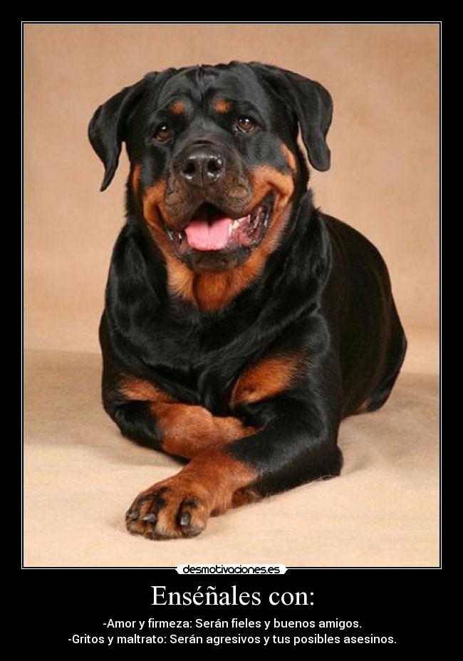 Enséñales con: | Desmotivaciones