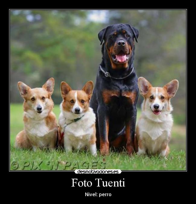 Foto Tuenti -