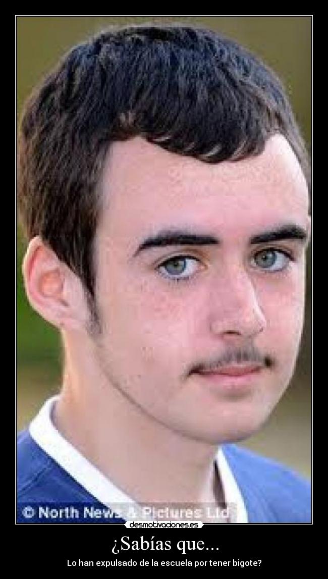 carteles yhea desmotivaciones