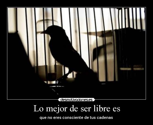 carteles ghikk desmotivaciones