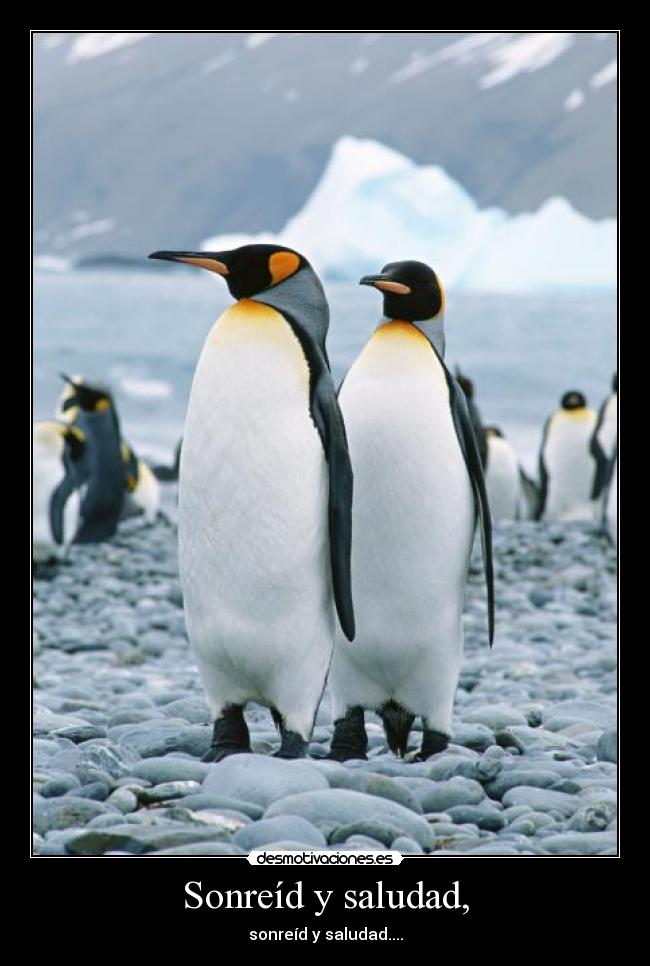 Sonreíd y saludad, - sonreíd y saludad....