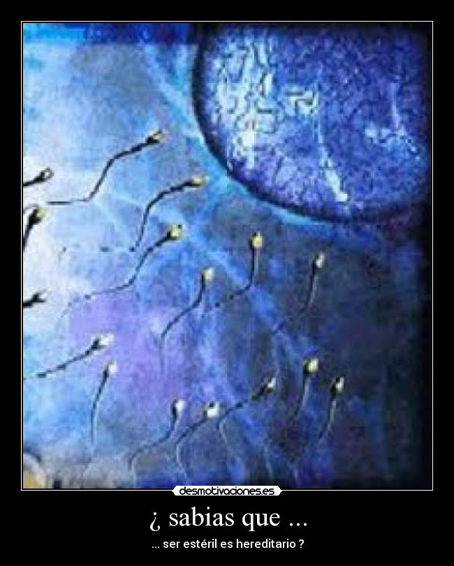 ¿ sabias que ... - ... ser estéril es hereditario ?