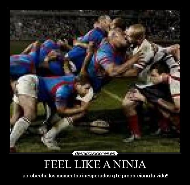 FEEL LIKE A NINJA -