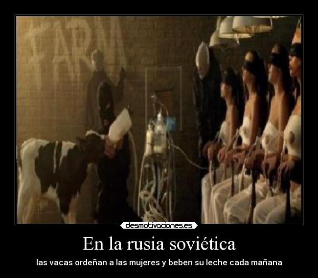 En la rusia soviética - las vacas ordeñan a las mujeres y beben su leche cada mañana