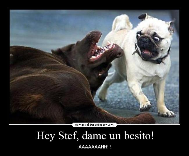 Hey Stef, dame un besito! - AAAAAAAHH!!!