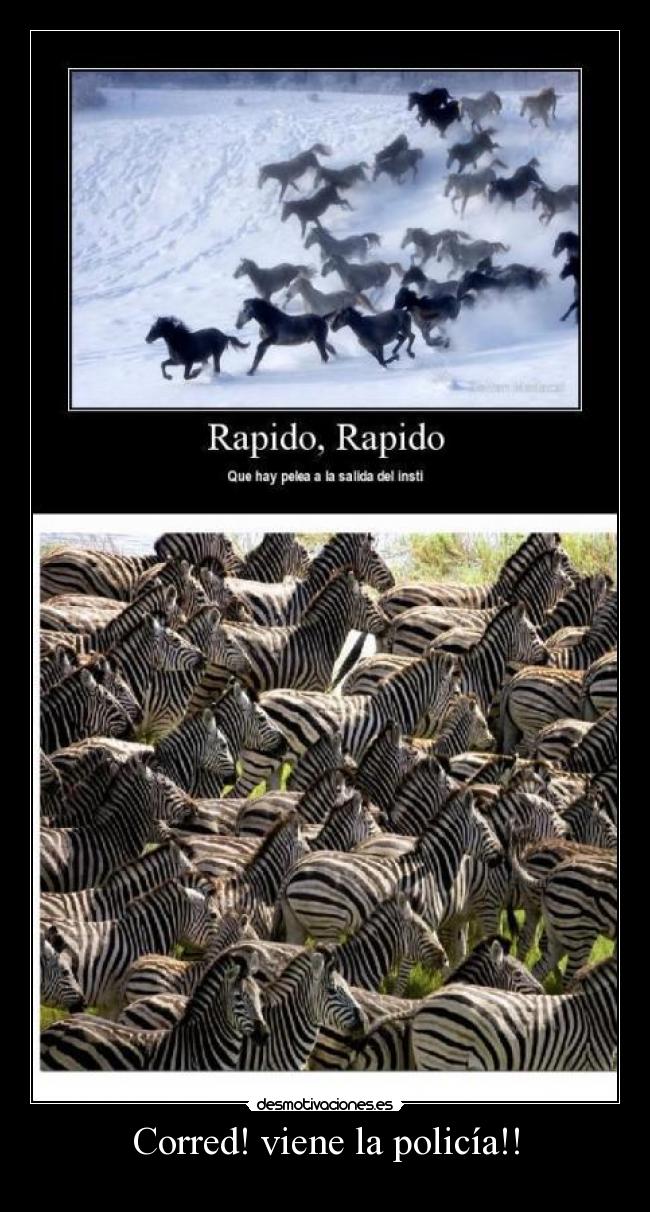 Corred! viene la policía!! - 