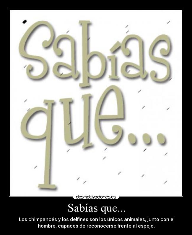 carteles yu76 desmotivaciones