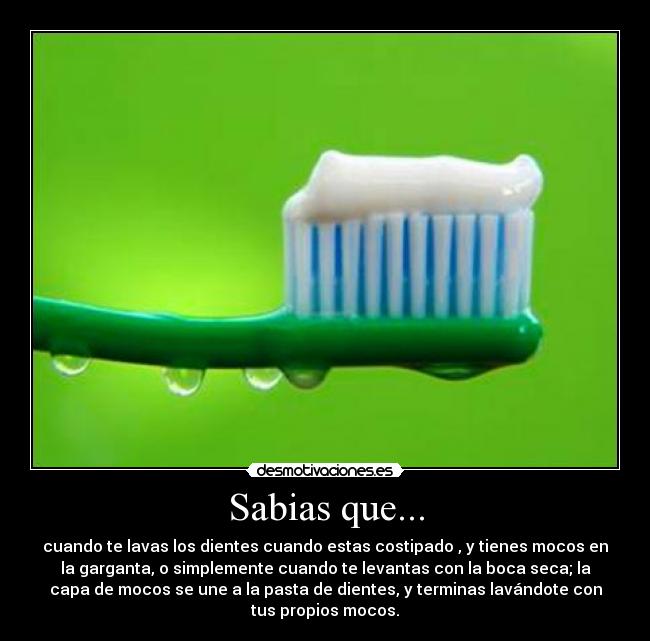 Sabias que... - cuando te lavas los dientes cuando estas costipado , y tienes mocos en
la garganta, o simplemente cuando te levantas con la boca seca; la
capa de mocos se une a la pasta de dientes, y terminas lavándote con
tus propios mocos.