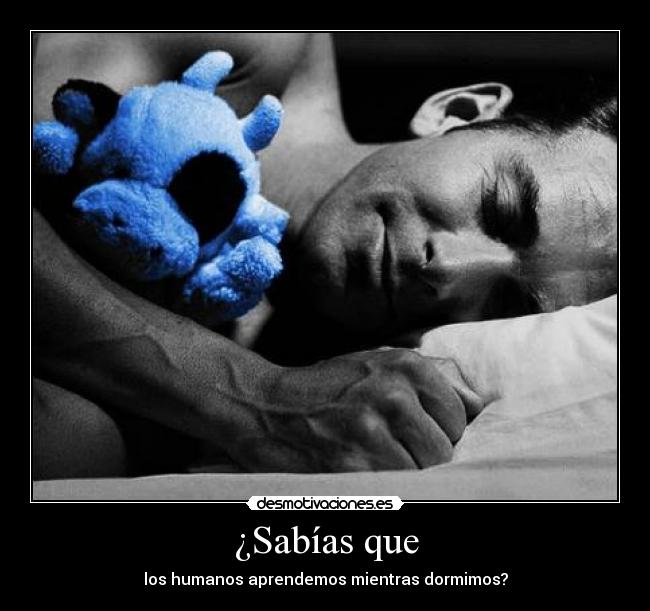 ¿Sabías que - los humanos aprendemos mientras dormimos?