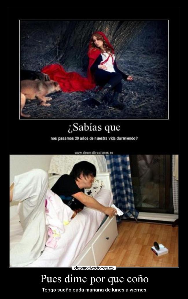 Pues dime por que coño -