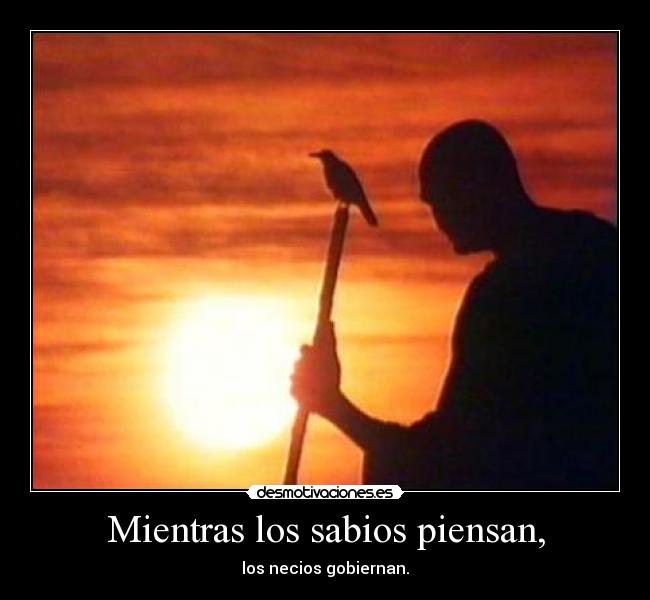 Mientras los sabios piensan, -