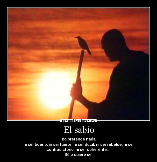 carteles sabiduria desmotivaciones