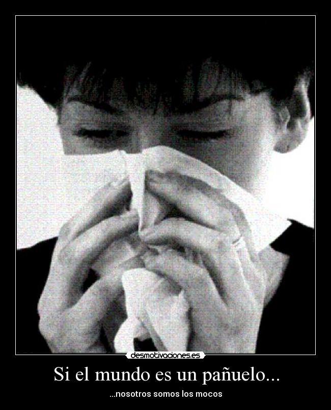 Si el mundo es un pañuelo... - ...nosotros somos los mocos