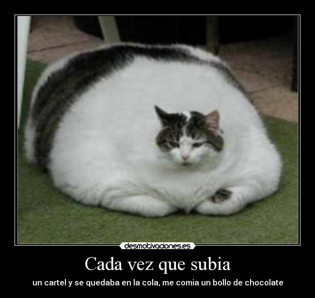 Cada vez que subia -