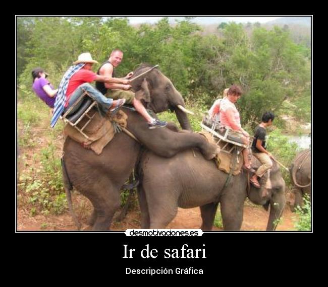 Ir de safari -