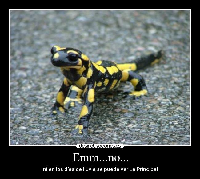 Emm...no... - ni en los días de lluvia se puede ver La Principal