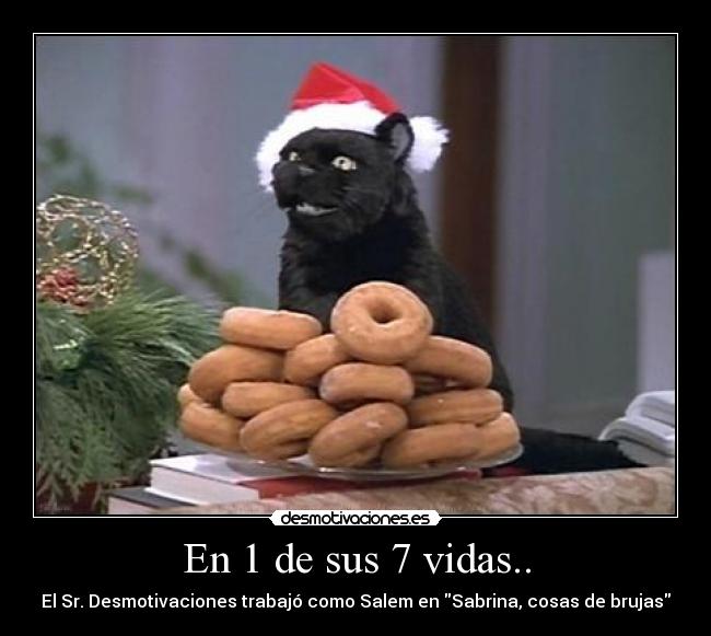 En 1 de sus 7 vidas.. - El Sr. Desmotivaciones trabajó como Salem en Sabrina, cosas de brujas