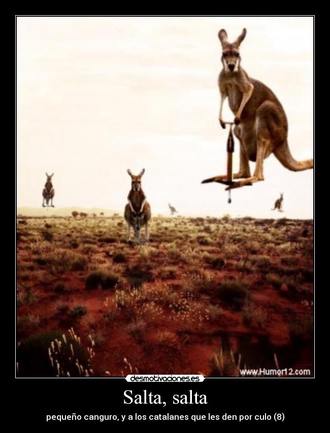 Salta, salta - pequeño canguro, y a los catalanes que les den por culo (8)