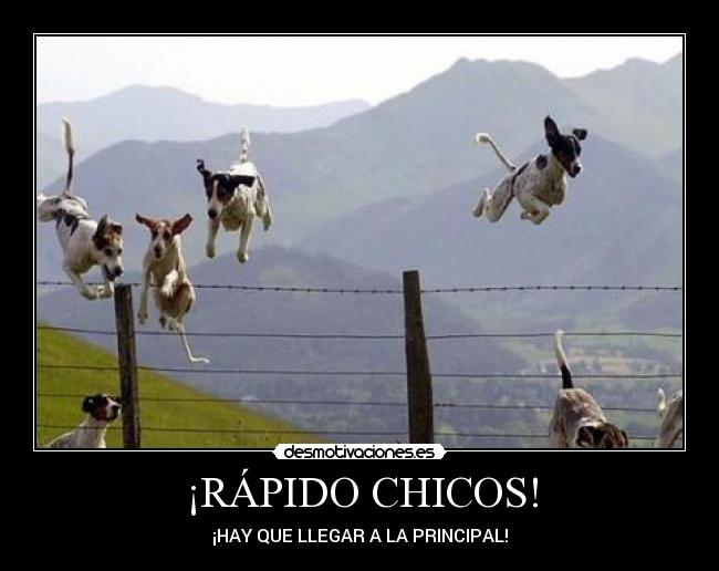 ¡RÁPIDO CHICOS! - 