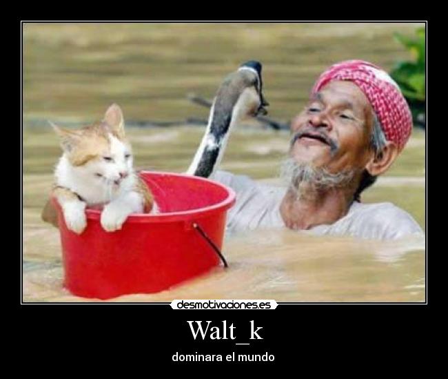 Walt_k - dominara el mundo