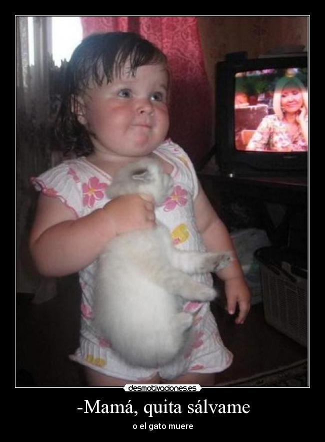 -Mamá, quita sálvame - o el gato muere