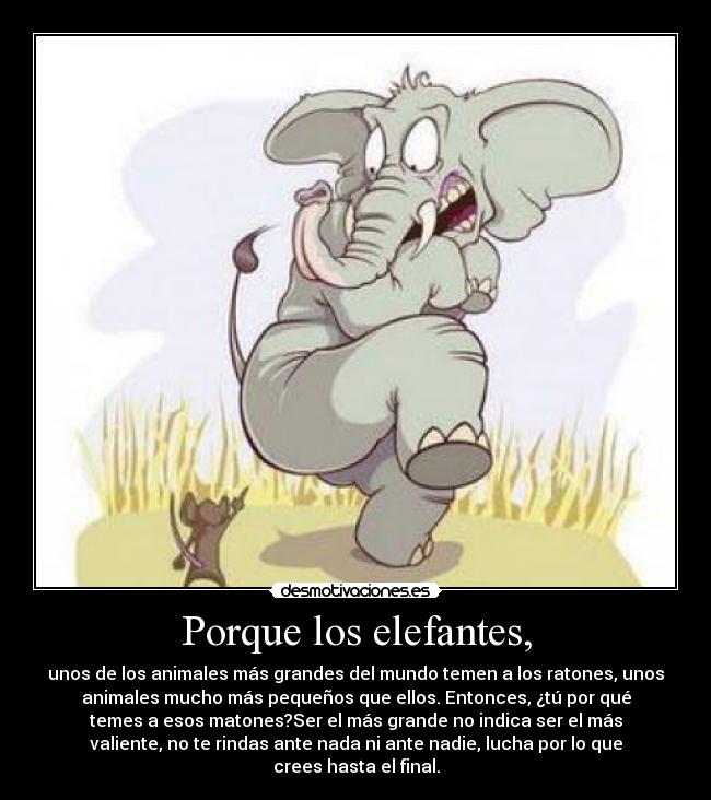 Porque los elefantes, - 
