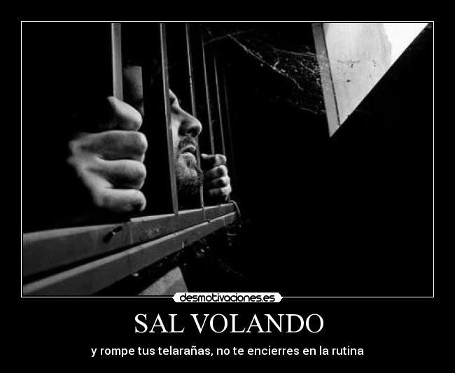SAL VOLANDO -