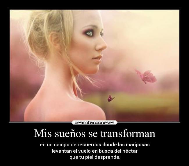 carteles suenos transformar levantar campo nectar piel desprende mariposas kiwaso desmotivaciones