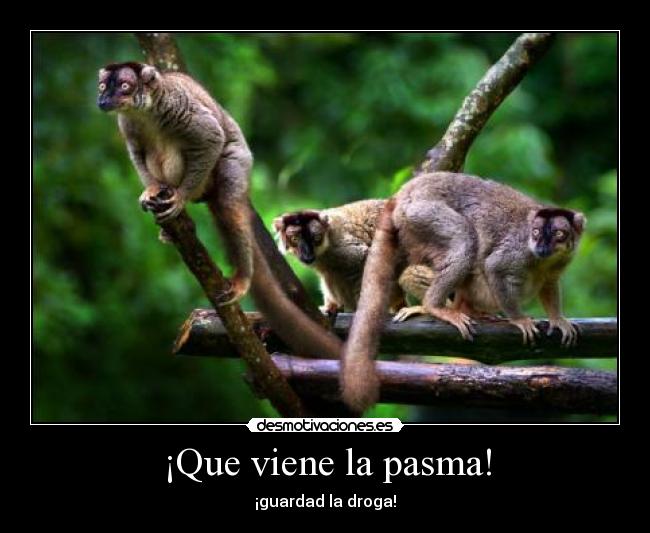 ¡Que viene la pasma! - 