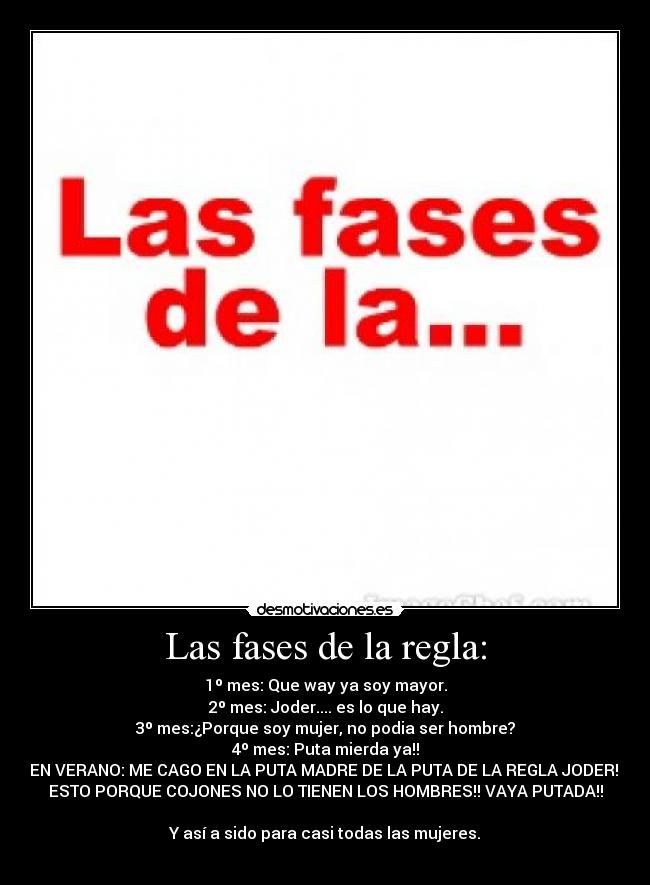 Las fases de la regla: -