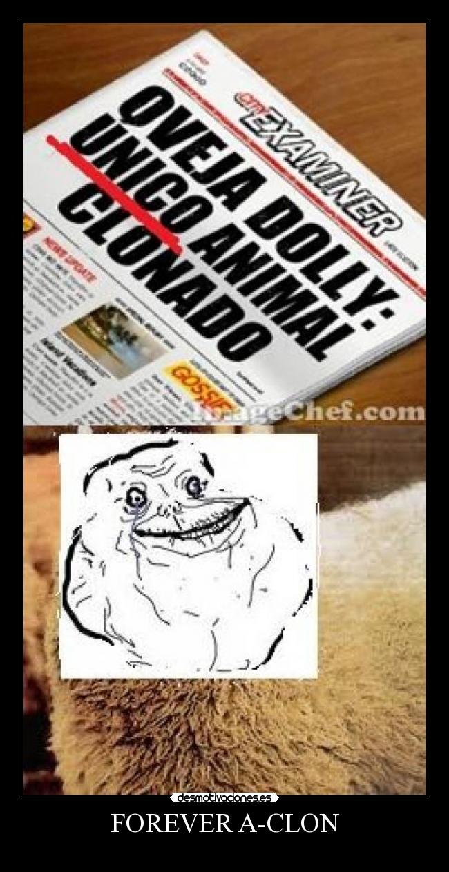 FOREVER A-CLON - 