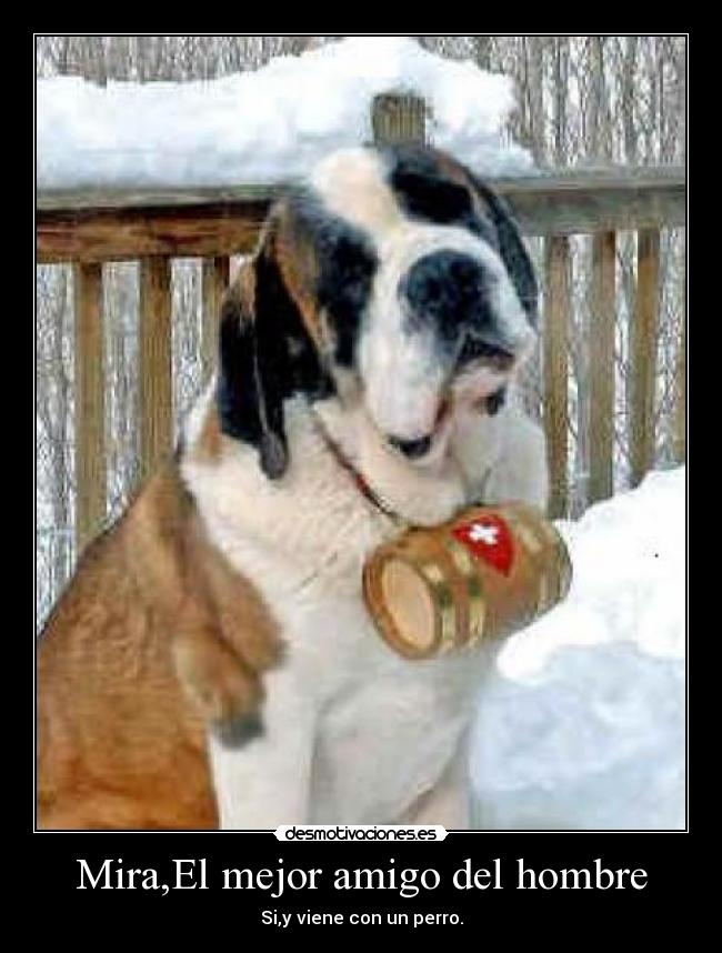 Mira,El mejor amigo del hombre - Si,y viene con un perro.