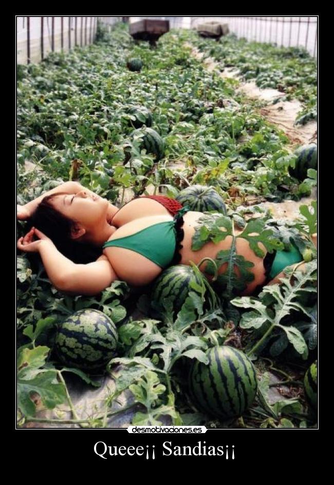 Queee¡¡ Sandias¡¡  - 