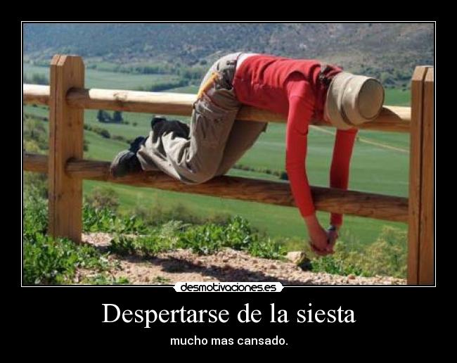 carteles siesta desmotivaciones