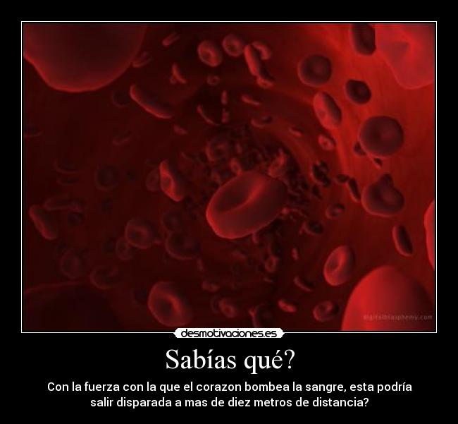 Sabías qué? - Con la fuerza con la que el corazon bombea la sangre, esta podría
salir disparada a mas de diez metros de distancia?