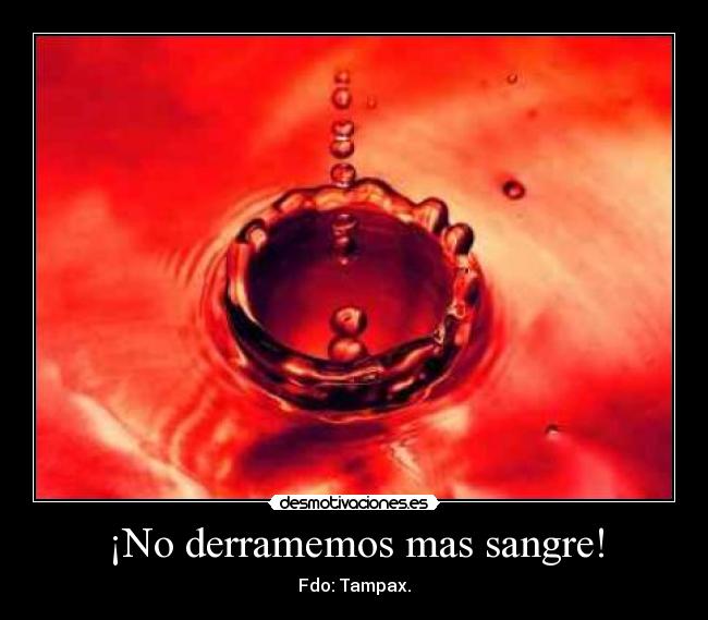¡No derramemos mas sangre! -