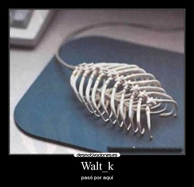 Walt_k -