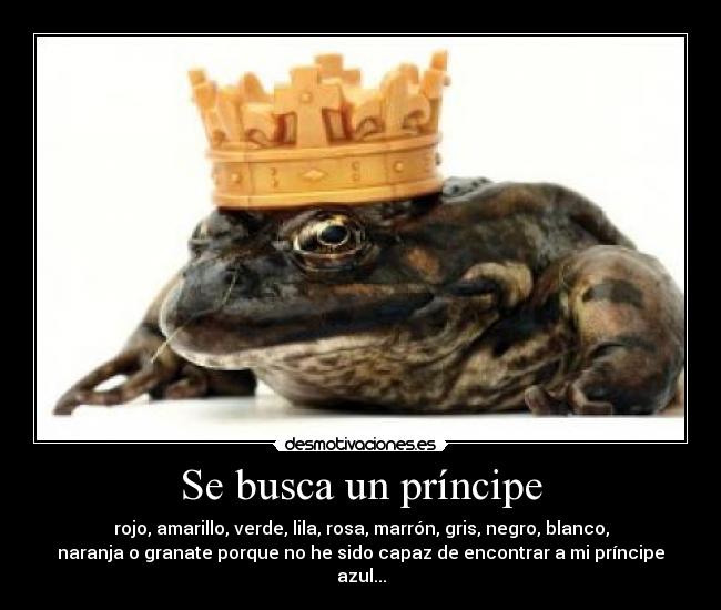 Se busca un príncipe - rojo, amarillo, verde, lila, rosa, marrón, gris, negro, blanco,
naranja o granate porque no he sido capaz de encontrar a mi príncipe
azul...