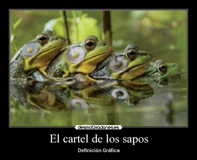 El cartel de los sapos - Definición Gráfica