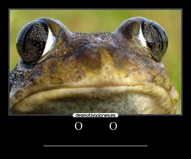 O O -
____________________________________________