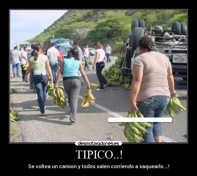 TIPICO..! -